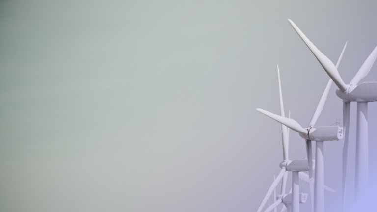 Decisiones que realmente ayudan a reducir la huella de carbono