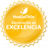 xSellos-HuellaChile_2019_Nivel4Excelencia_Alta-150x150.png.pagespeed.ic.oChrk10yk0